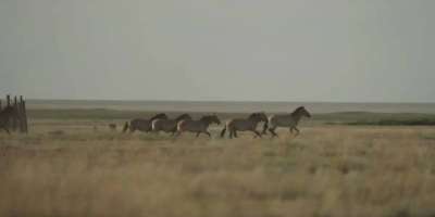 Colman Domingo and Jude Law at amfAR’s Venice Gala