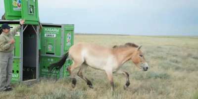 Colman Domingo and Jude Law at amfAR’s Venice Gala