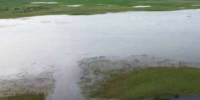 Colman Domingo and Jude Law at amfAR’s Venice Gala