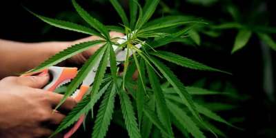 Colman Domingo and Jude Law at amfAR’s Venice Gala