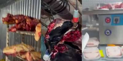 Colman Domingo and Jude Law at amfAR’s Venice Gala