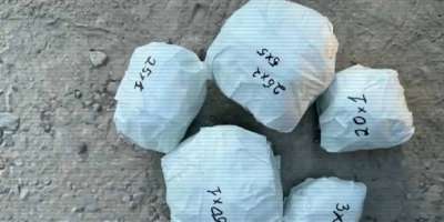 Colman Domingo and Jude Law at amfAR’s Venice Gala