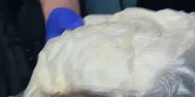 Colman Domingo and Jude Law at amfAR’s Venice Gala