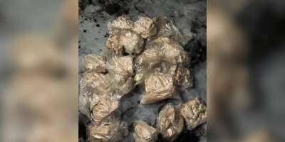 Colman Domingo and Jude Law at amfAR’s Venice Gala