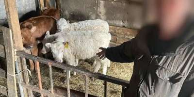 Colman Domingo and Jude Law at amfAR’s Venice Gala