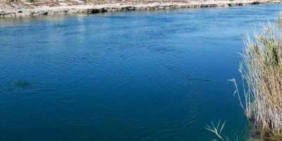 Colman Domingo and Jude Law at amfAR’s Venice Gala