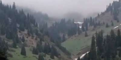 Colman Domingo and Jude Law at amfAR’s Venice Gala