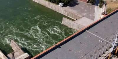Colman Domingo and Jude Law at amfAR’s Venice Gala