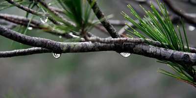 Colman Domingo and Jude Law at amfAR’s Venice Gala