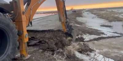 Colman Domingo and Jude Law at amfAR’s Venice Gala