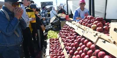 Colman Domingo and Jude Law at amfAR’s Venice Gala