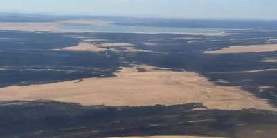 Colman Domingo and Jude Law at amfAR’s Venice Gala