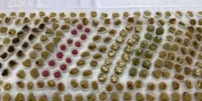 Colman Domingo and Jude Law at amfAR’s Venice Gala