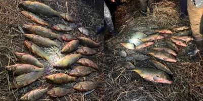 Colman Domingo and Jude Law at amfAR’s Venice Gala