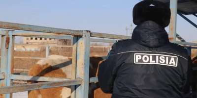 Colman Domingo and Jude Law at amfAR’s Venice Gala