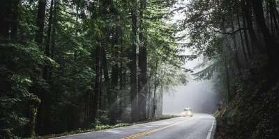 Colman Domingo and Jude Law at amfAR’s Venice Gala