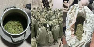 Colman Domingo and Jude Law at amfAR’s Venice Gala