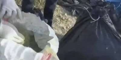 Colman Domingo and Jude Law at amfAR’s Venice Gala