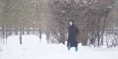 Colman Domingo and Jude Law at amfAR’s Venice Gala