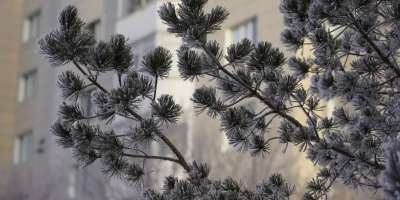 Colman Domingo and Jude Law at amfAR’s Venice Gala
