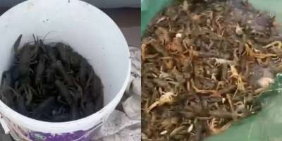 Colman Domingo and Jude Law at amfAR’s Venice Gala