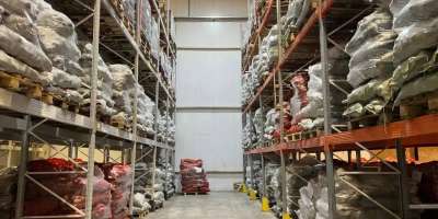 Colman Domingo and Jude Law at amfAR’s Venice Gala