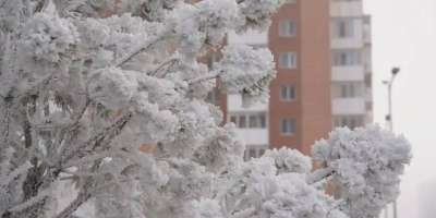 Colman Domingo and Jude Law at amfAR’s Venice Gala