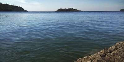 Colman Domingo and Jude Law at amfAR’s Venice Gala