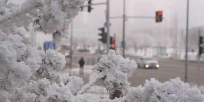 Colman Domingo and Jude Law at amfAR’s Venice Gala