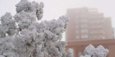 Colman Domingo and Jude Law at amfAR’s Venice Gala