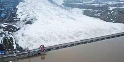 Colman Domingo and Jude Law at amfAR’s Venice Gala