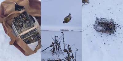 Colman Domingo and Jude Law at amfAR’s Venice Gala