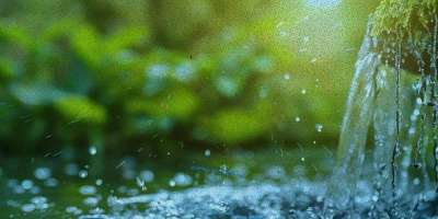 Colman Domingo and Jude Law at amfAR’s Venice Gala