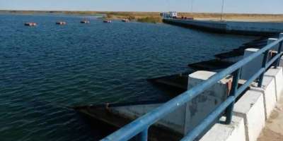 Colman Domingo and Jude Law at amfAR’s Venice Gala