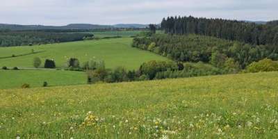Colman Domingo and Jude Law at amfAR’s Venice Gala
