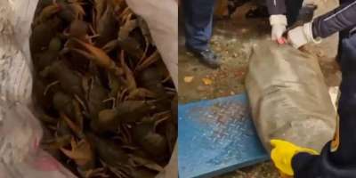 Colman Domingo and Jude Law at amfAR’s Venice Gala