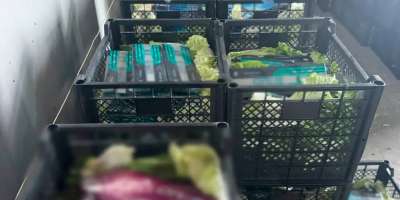 Colman Domingo and Jude Law at amfAR’s Venice Gala