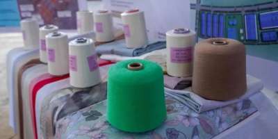 Colman Domingo and Jude Law at amfAR’s Venice Gala