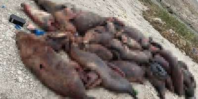 Colman Domingo and Jude Law at amfAR’s Venice Gala