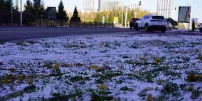Colman Domingo and Jude Law at amfAR’s Venice Gala