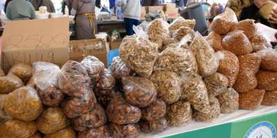 Colman Domingo and Jude Law at amfAR’s Venice Gala