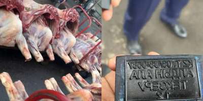 Colman Domingo and Jude Law at amfAR’s Venice Gala