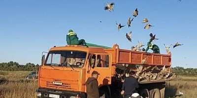 Colman Domingo and Jude Law at amfAR’s Venice Gala