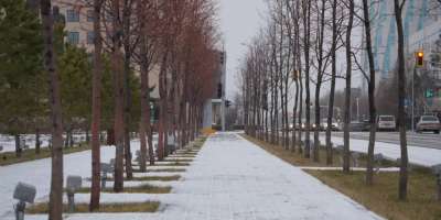 Colman Domingo and Jude Law at amfAR’s Venice Gala