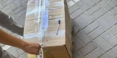 Colman Domingo and Jude Law at amfAR’s Venice Gala