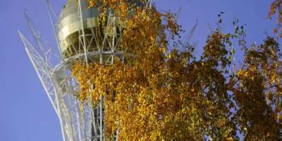 Colman Domingo and Jude Law at amfAR’s Venice Gala