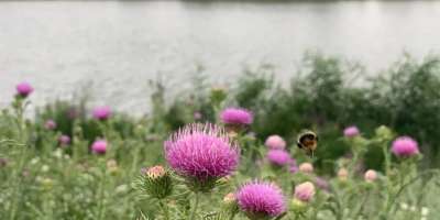 Colman Domingo and Jude Law at amfAR’s Venice Gala