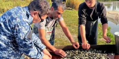Colman Domingo and Jude Law at amfAR’s Venice Gala