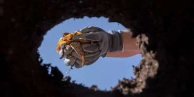 Colman Domingo and Jude Law at amfAR’s Venice Gala
