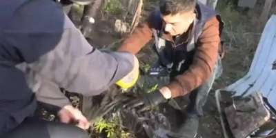 Colman Domingo and Jude Law at amfAR’s Venice Gala